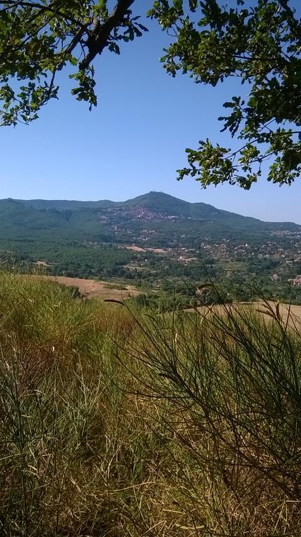 B&B Il Pantanello Rocca Di Papa Kültér fotó